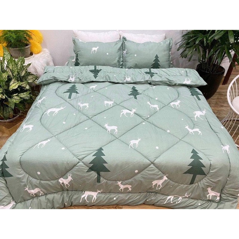 Bộ 5 món Chăn phao trần bông dày loại 1