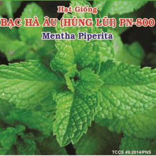 BẠC HÀ ÂU PN-800 nhập khẩu-  chuyên dụng.