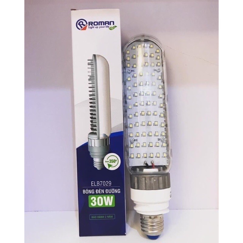 Bộ đèn đường led siêu sáng 30w ROMAN