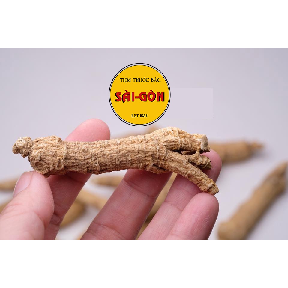 Tây Dương Sâm | Sâm Hoa Kỳ Nguyên Củ Loại Tốt 100g
