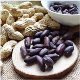 Hạt Giống Lạc Đen ( Đậu Phộng Đen ) - Gói 15gram KNS2106