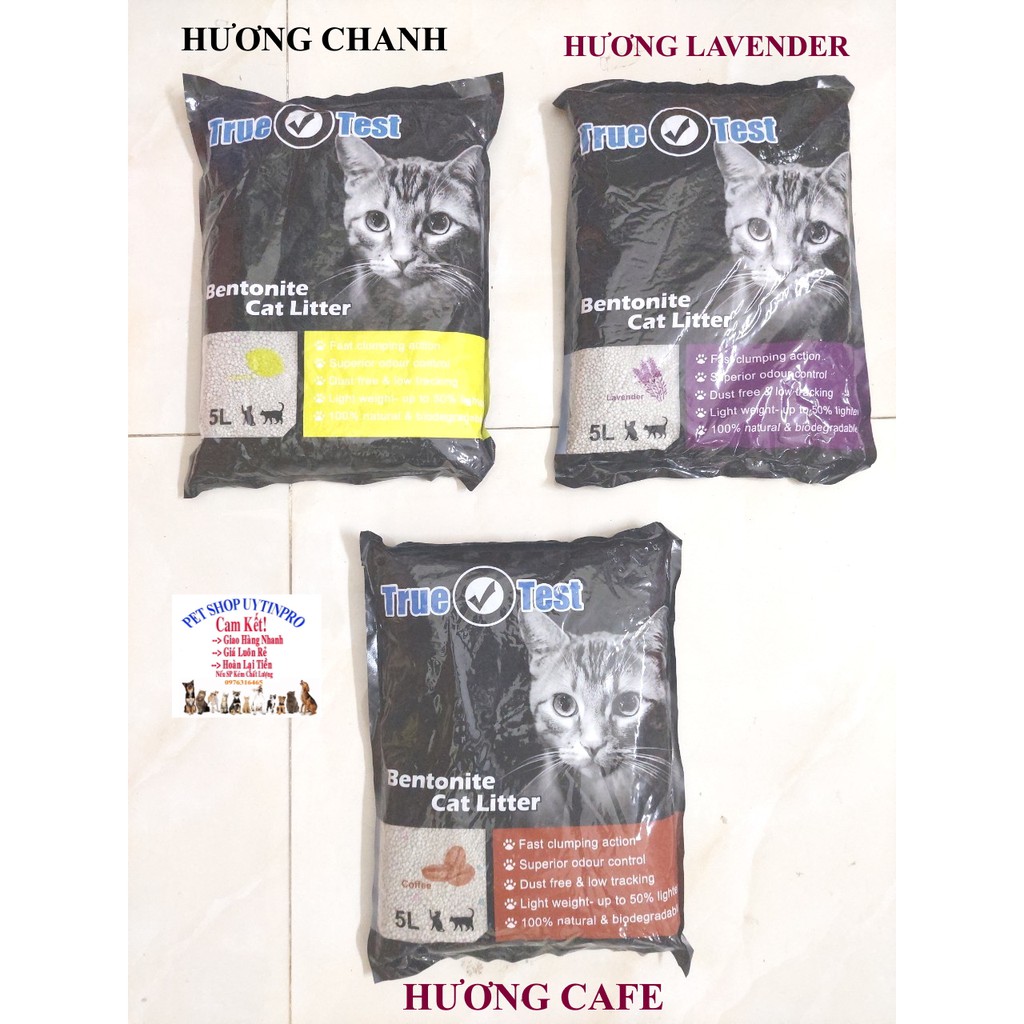 Cát vệ sinh cho mèo TRUE TEST Bentonite Cat Litter Túi 5L Siêu khử mùi Siêu vón cục Thương hiệu Haisen