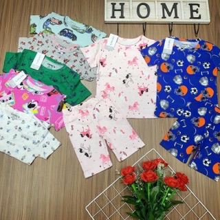 Bộ bozip carter xuất dư