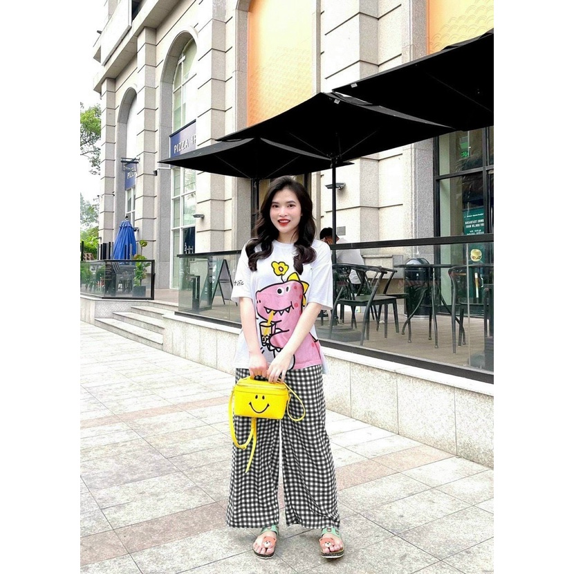 set bộ áo thun in khủng long mix quần suông dài carro k