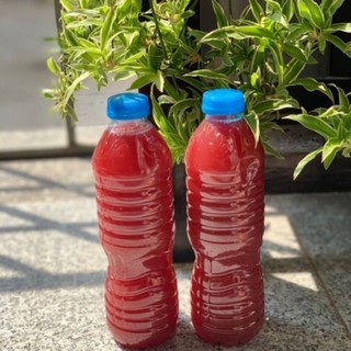 PSB vi sinh hồ cá❤️xử lý rác hữu cơ  + 330ml  .