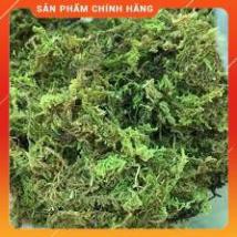 RÊU RỪNG TRỒNG LAN