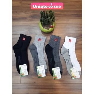 TẤT UNIQLO