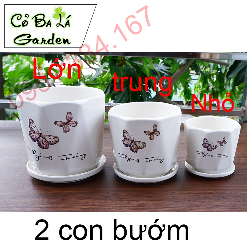 Chậu sứ trồng cây kèm đĩa hứng nước,1 bộ có 3 SIze tự chọn