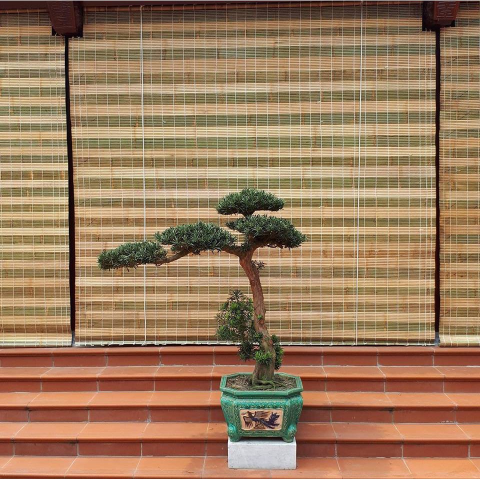 Mành tre giá rẻ 85k / m2