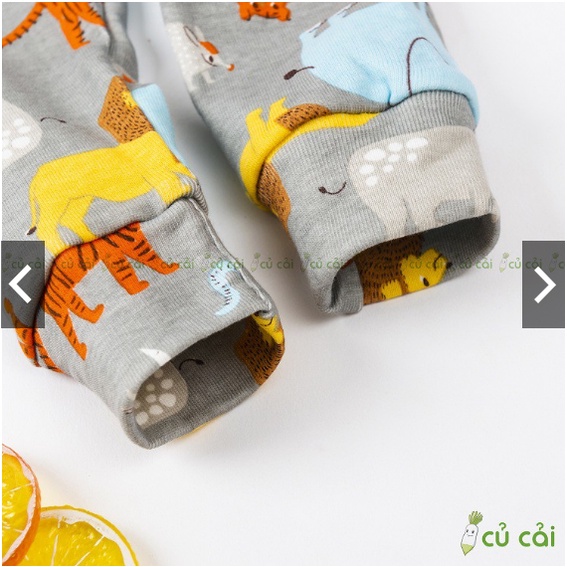 Quần chục dài cho bé chất cotton bozip đẹp 8-17kg QCH01