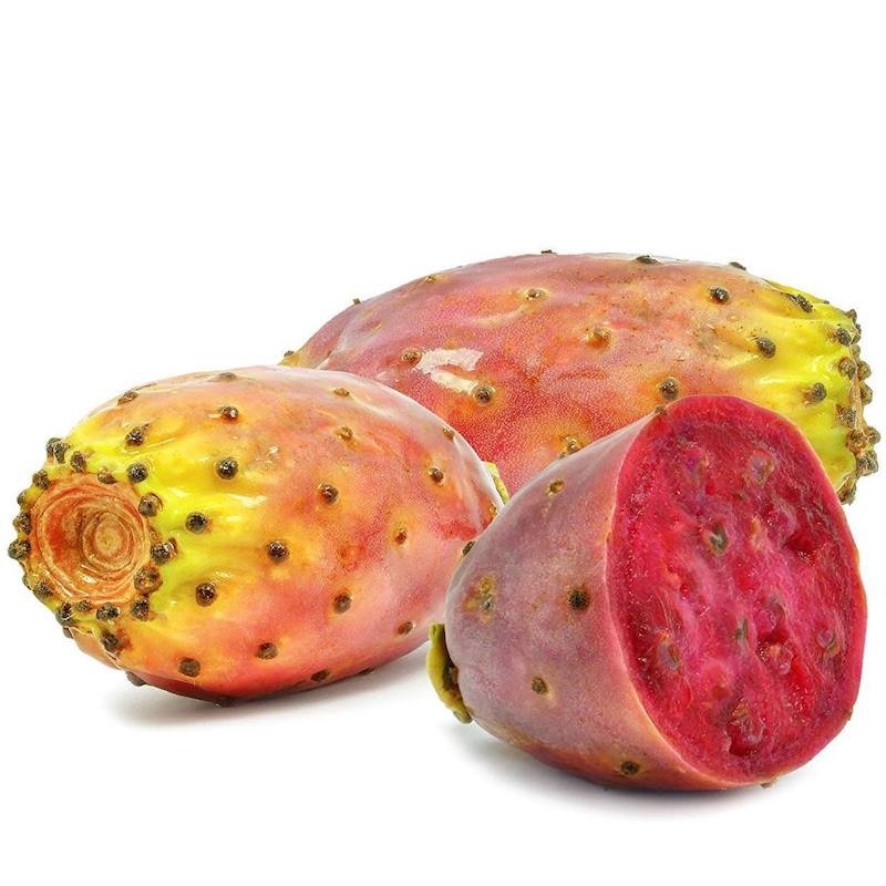 [ORGANIC] DẦU HẠT XƯƠNG RỒNG Prickly Pear Seed Oil HỮU CƠ Premium Liquid Gold DƯỠNG DA TÓC MÓNG