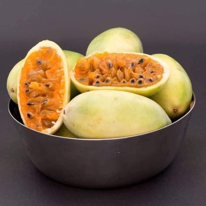 GIỐNG CÂY CHANH LEO CHUỐI ( CHUẨN GIỐNG )