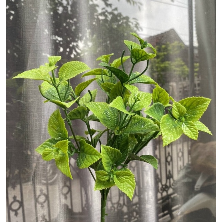 Cụm bạc hà nhiều màu sắc trang trí không gian tiệc, decor quán Cafe nhà hàng