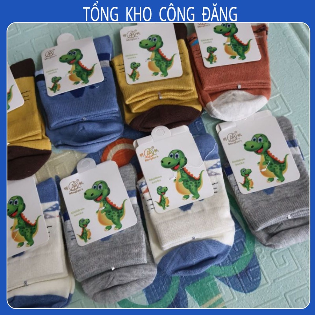 Tất khủng long cho bé Trai (7-10 tuổi) loại đẹp