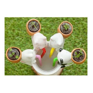 CHẬU TRỒNG CÂY MINI ĐỂ MIỆNG LY TỰ TƯỚI