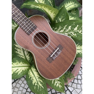 Đàn Ukulele Concert Gỗ Viền [Ảnh thật chính chủ]