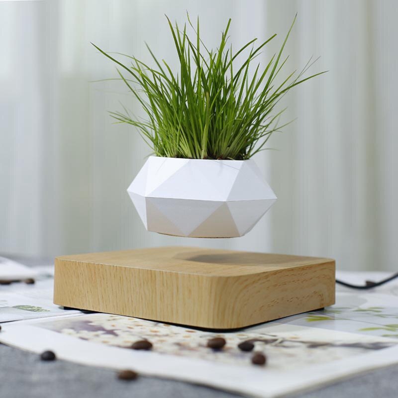 Libishop - Chậu cây bay trang trí từ tính BonSai Bay Zero W Design
