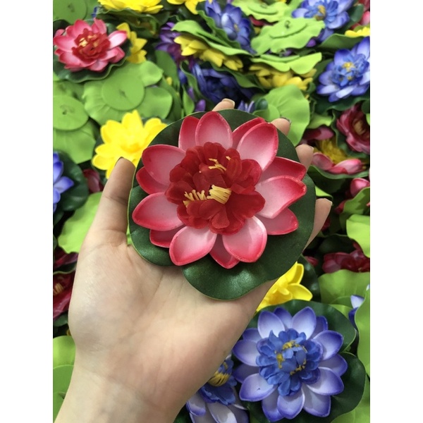 Hoa sen thả nồi trang trí phong thuỷ , tiểu cảnh 10cm