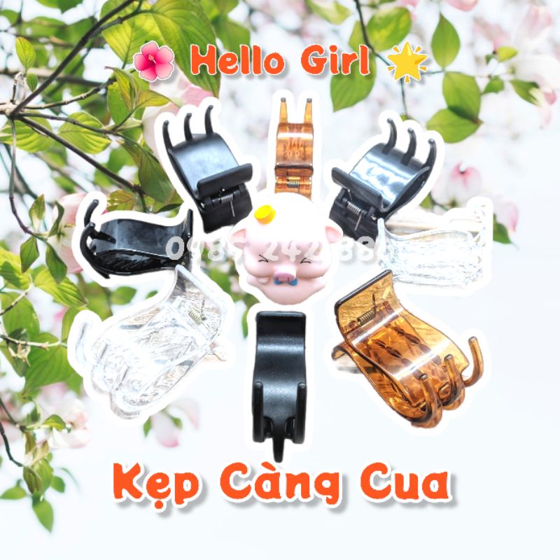 Kẹp Càng Cua 3 Răng 5 Răng Mix Màu