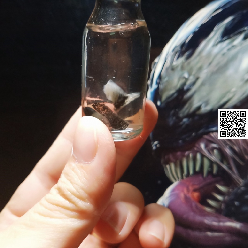 Mô hình lọ chứa tin thể Venom black spider men 1867