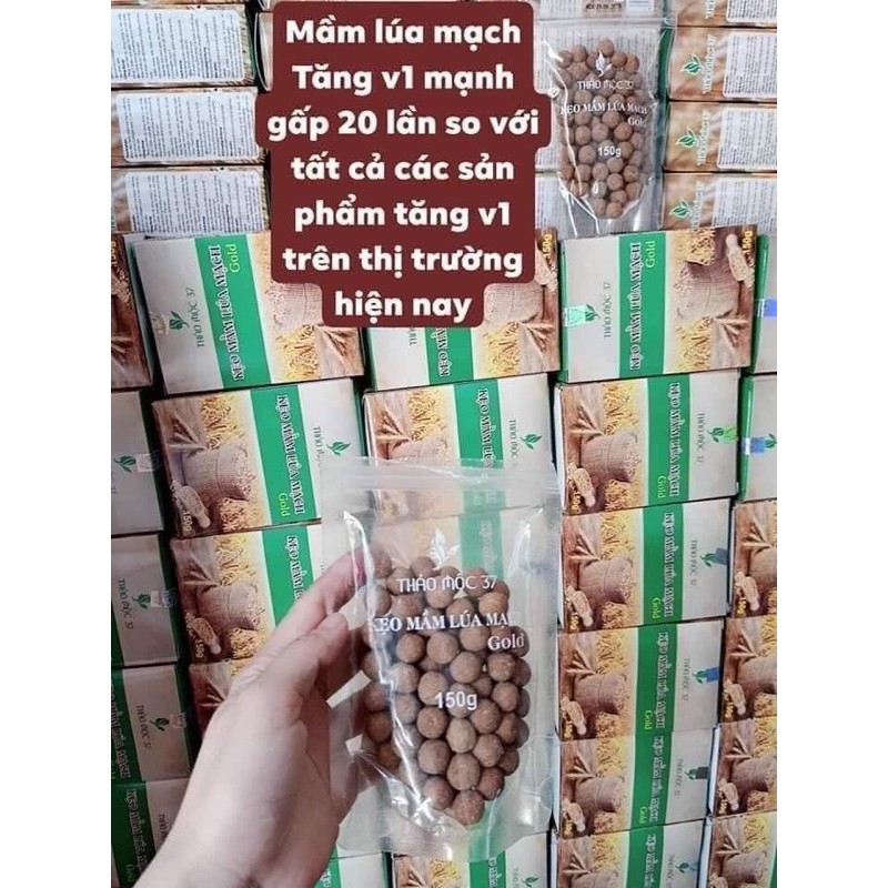 [Chính Hãng] Kẹo Mầm Lúa Mạch Gold-Thảo Mộc 37 | BigBuy360 - bigbuy360.vn