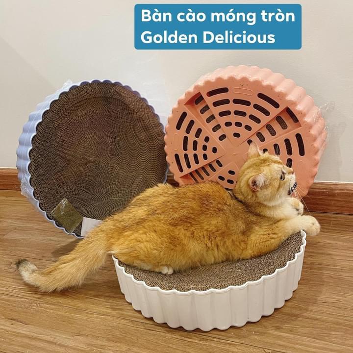 Bàn Cào Móng Hình Tròn Kiêm Đệm Nằm Cho Mèo Size Lớn 39cm (Có Lõi Thay Thế Tiết Kiệm) - Ảnh Thật Sản Phẩm Kèm Người Mẫu