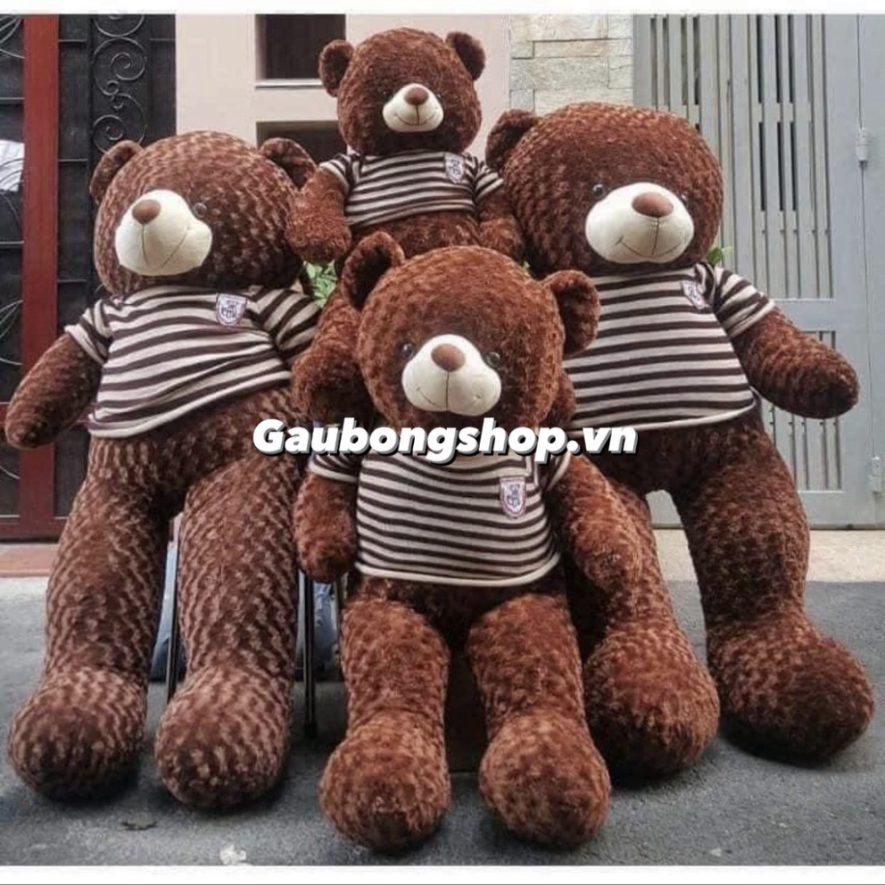 [Mã LIFEXANH03 giảm 10% đơn 500K] Gấu Bông To Gấu Bông Teddy Siêu To Khổng Lồ Quà Tặng Siêu Đáng Yêu Gấu Xinh - G11