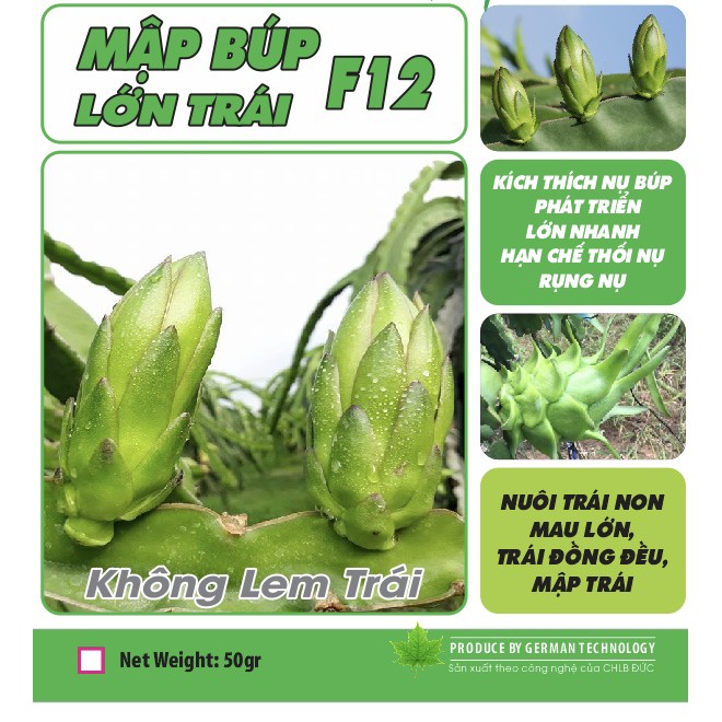 Mập búp thanh long F12