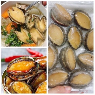 Bào ngư hàn quốc 1 kg