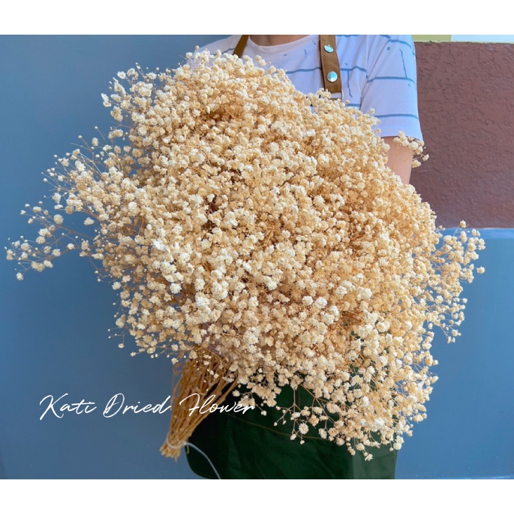 Hoa baby khô Hoa khô quà tặng decor trang trí