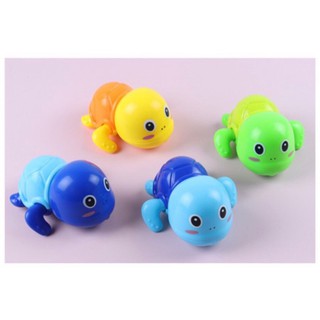 Rùa bơi nước đầu trọc cho bé ( 1 con)