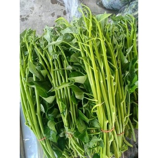 5 lạng rau muống chùm xanh siêu ngọn trồng 1 lần thu hoạch nhiều lần