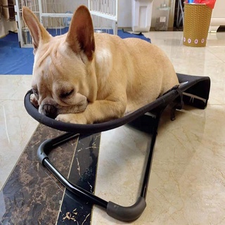 Ghế bập bênh cho chó mèo