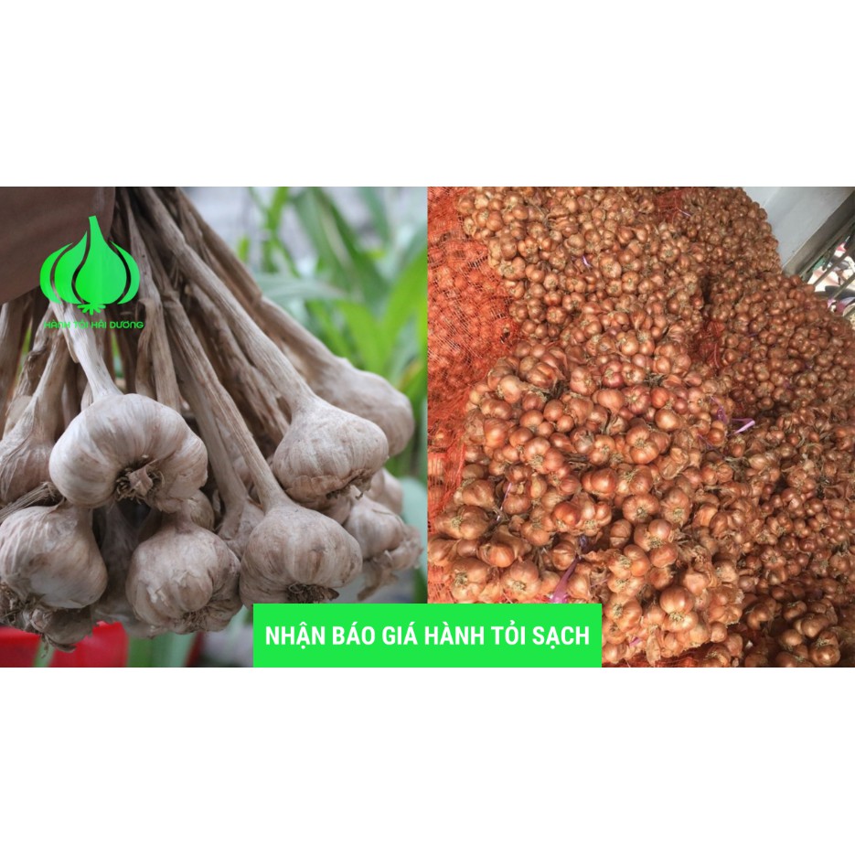 Combo 1kg Hành + 1Kg Tỏi Kinh Môn Hải Dương