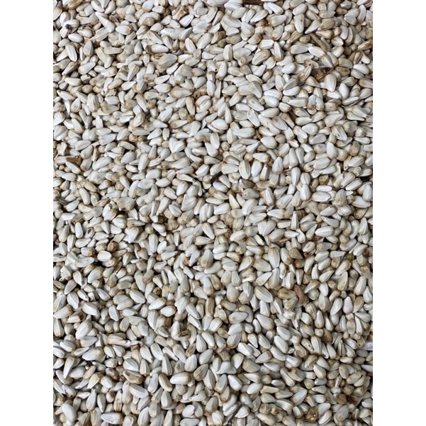 Hạt Kham- Thức ăn cho gà,vẹt,hamster, chim