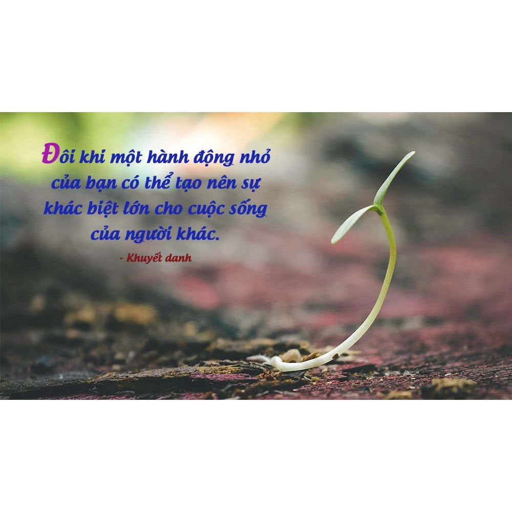 Sách - Combo Gieo niềm tin cuộc sống + Cho một khởi đầu mới + Điểm tựa niềm tin (Tái bản 2021) - FirstNews Tặng Kèm Book