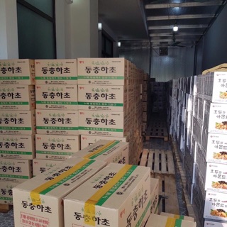 Sữa hạt óc chó