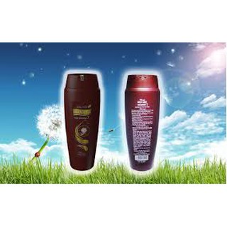 DẦU GỘI DƯỢC LIỆU THÁI DƯƠNG 7