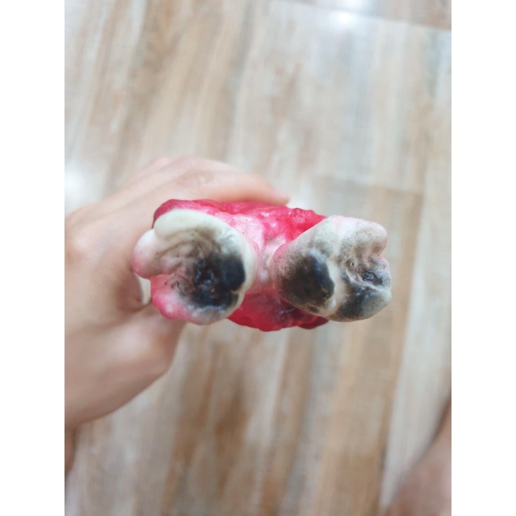 Bàn Tay Giả Dùng Để Trang Trí Halloween Độc Đáo