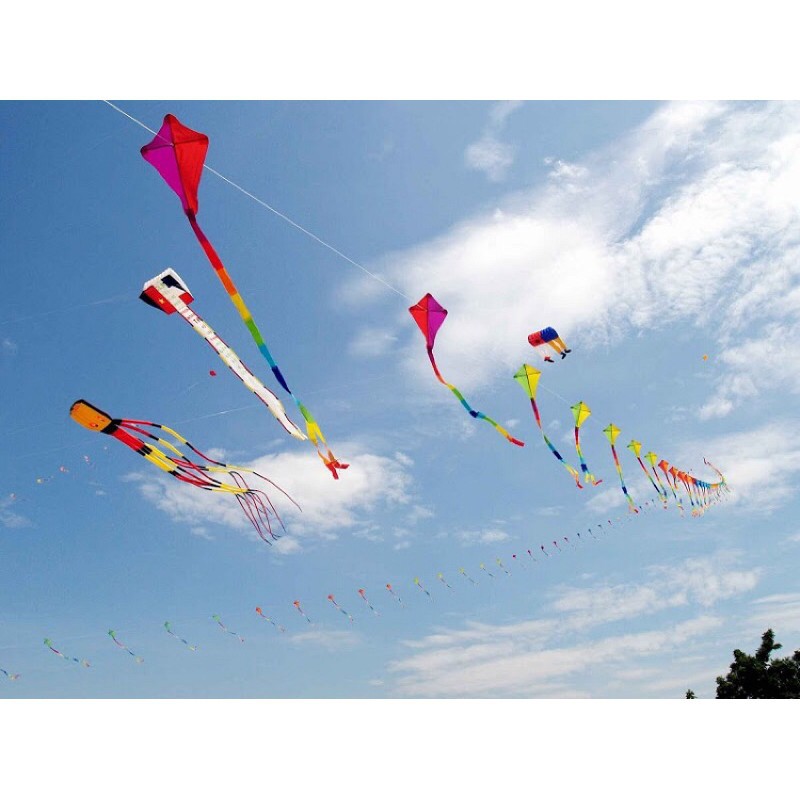 Diều thả hình rồng, phượng, cá mập,... chất liệu vải dù cao cấp