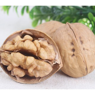 1 KG Quả Óc Chó SaPa Mỏng Vỏ, Sấy Khô Date Mới Nhất tặng Kìm