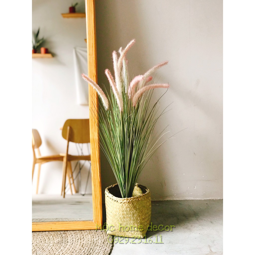 Giỏ cói trồng cây