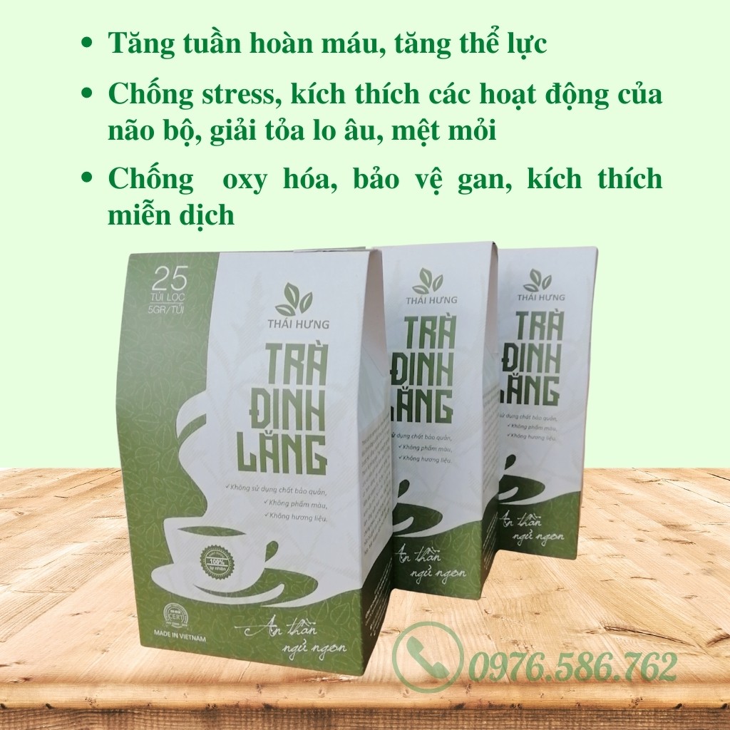 Trà Túi Lọc Đinh Lăng Thái Hưng, giúp An Thần Ngủ Ngon, Trà Thảo Dược Thiên Nhiên (25 túi lọc x 5g) | BigBuy360 - bigbuy360.vn