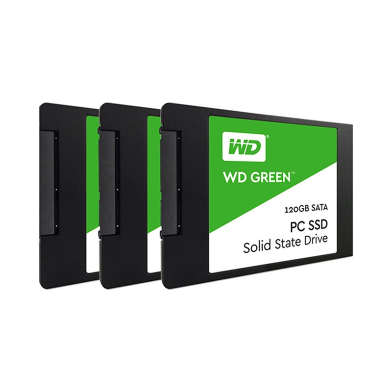 Ổ Cứng SSD Kỹ Thuật Số 120GB 240GB 480GB SATA3 2.5 Inch WD Màu Xanh Lá