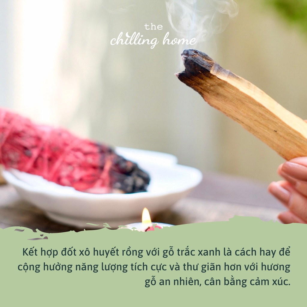 Combo May Mắn  Thu Hút May Mắn Tạo Cơ Hội