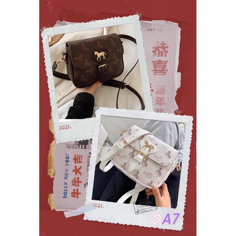 Synthesis of horse bag codes/ Please DR before pre-order‼️