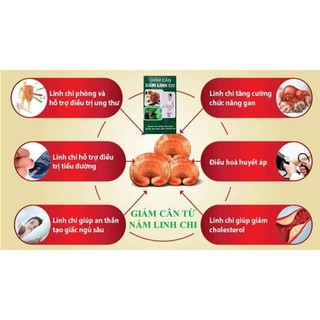 Giảm Cân Nấm Linh Chi