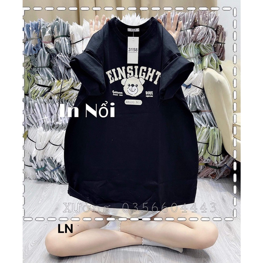 Áo phông gấu einsight chất cotton khô 5L8N