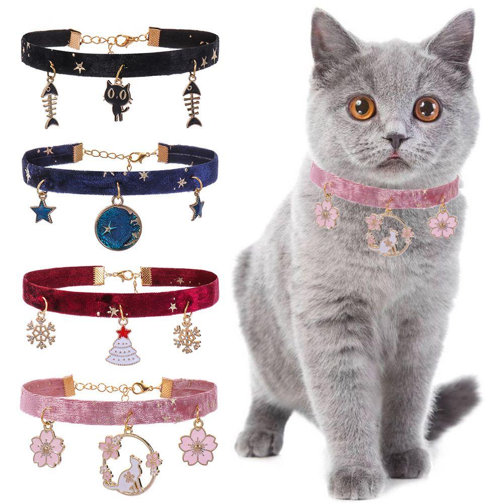 1 Vòng Đeo Cổ Hình Hoa Tuyết, Mèo Mới