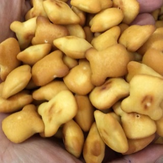 Bánh gấu nhân kem - thùng 5kg